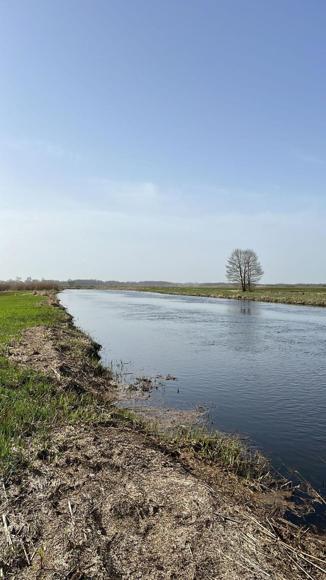 Biebrzanska Osada Villa Stare Dolistowo Buitenkant foto